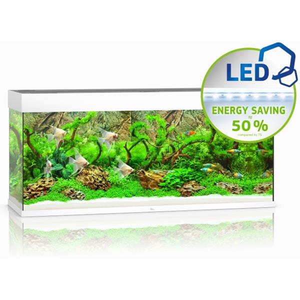 rio_240_białe_akwarium (1).jpg